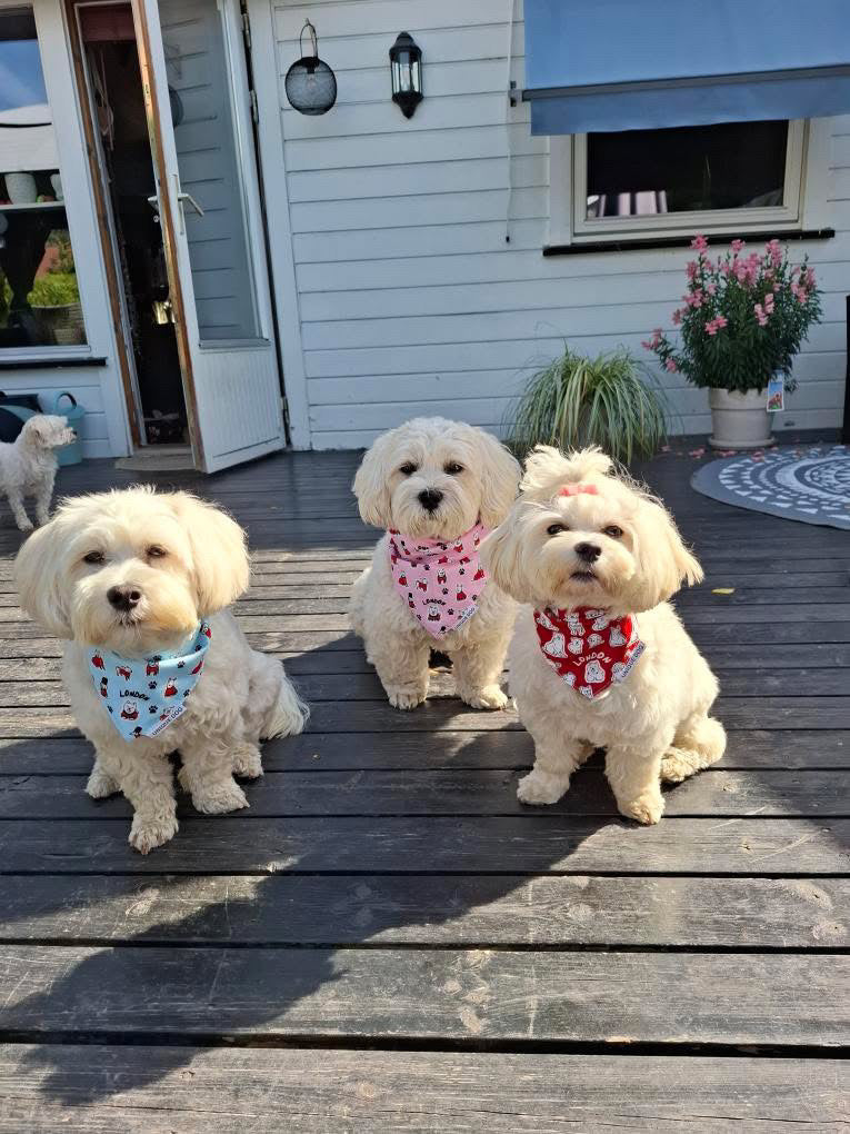 Royal Pups Bandana – Baby Pink Edition