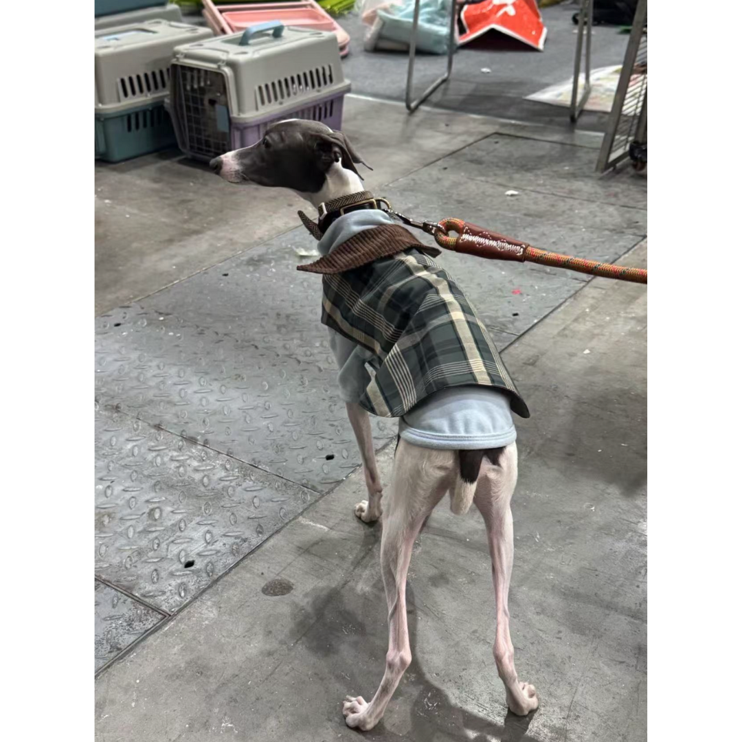 Handmade British Heritage Dog Coat — Olive Classic Field Edition