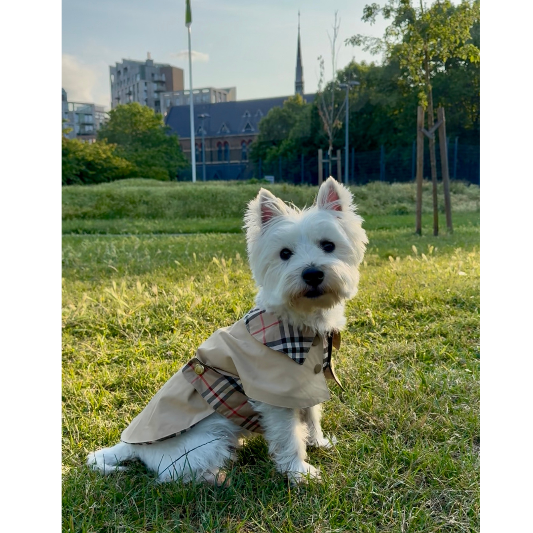 Handmade British Heritage Dog Coat — Classic Check Edition