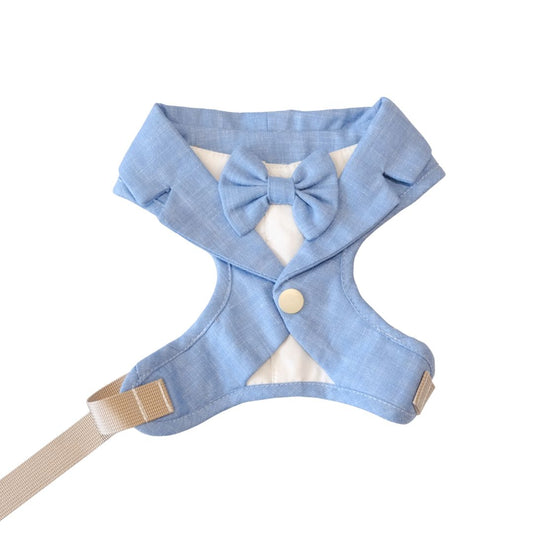 The Chelsea Charm – Baby Blue Harness