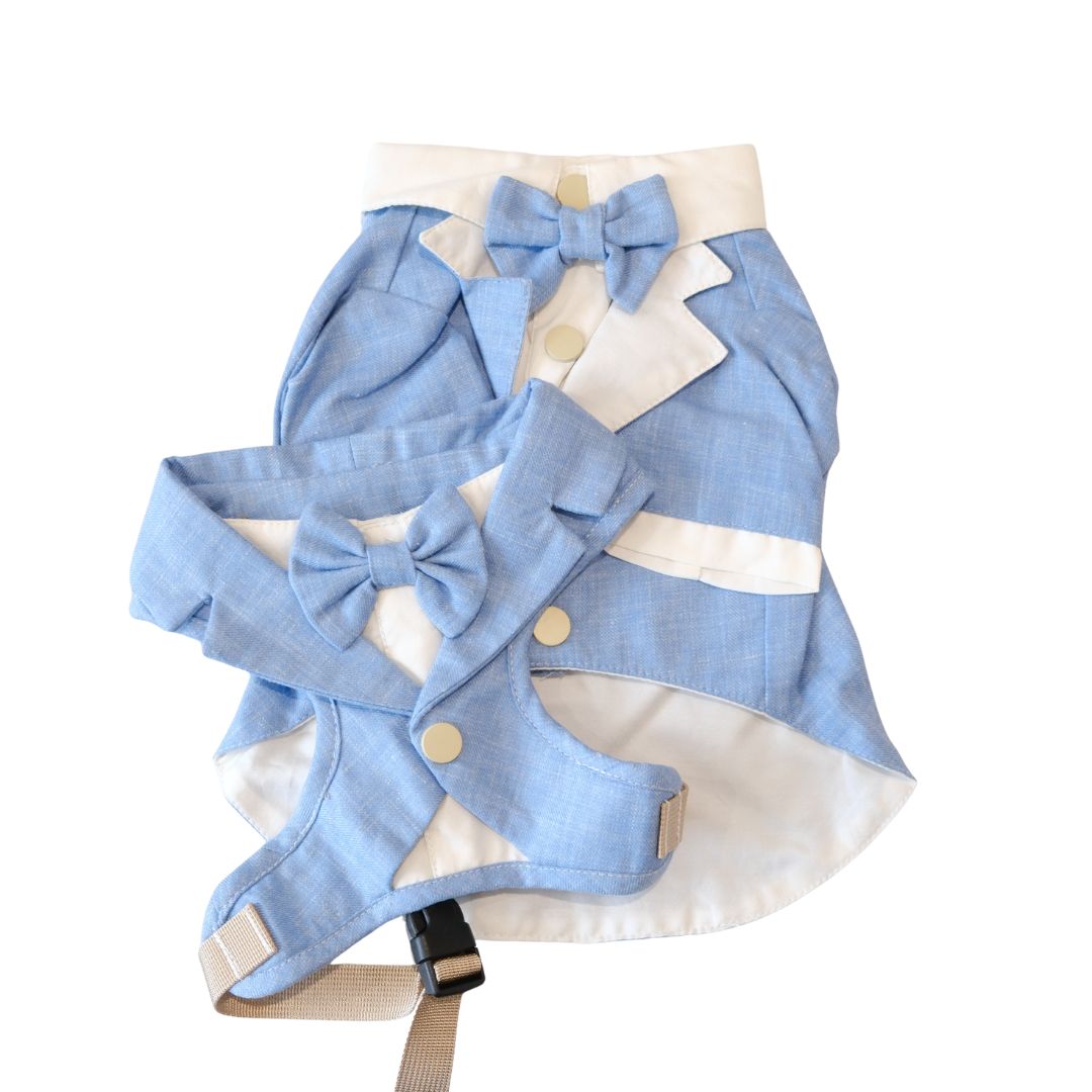 The Chelsea Charm – Baby Blue Harness