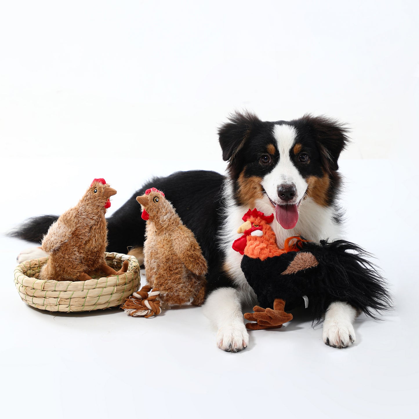 Woven Core Chicken & Hens Dog Toy – Durable Chew & Play
