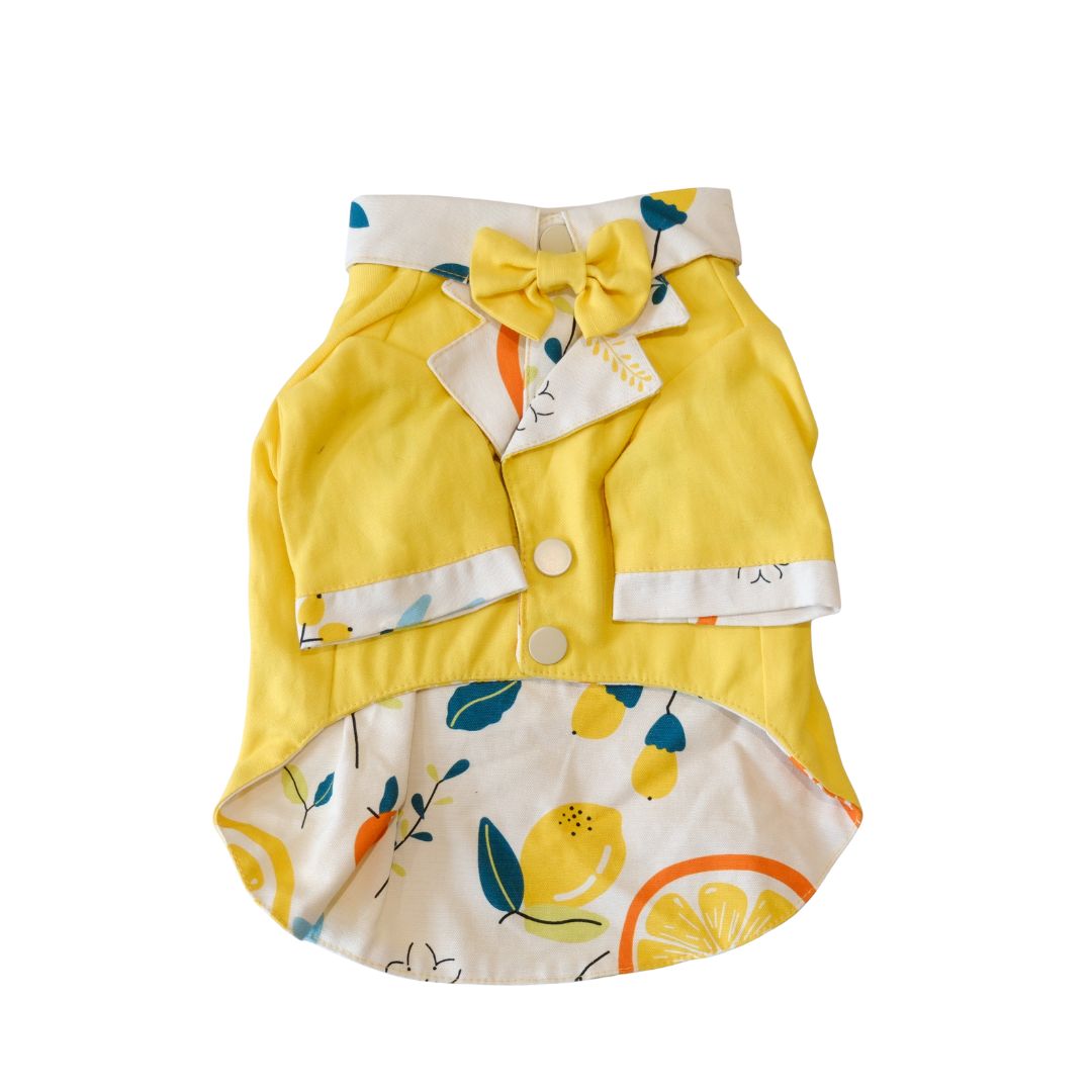 The Notting Hill Dandy โ Lemon Yellow Suit Vest