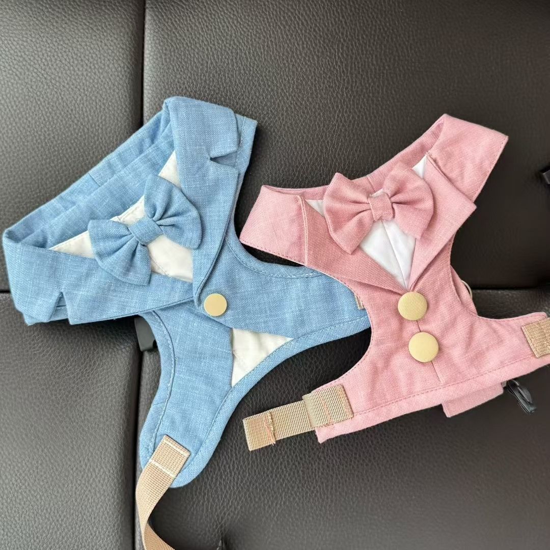 The Chelsea Charm – Baby Blue Harness
