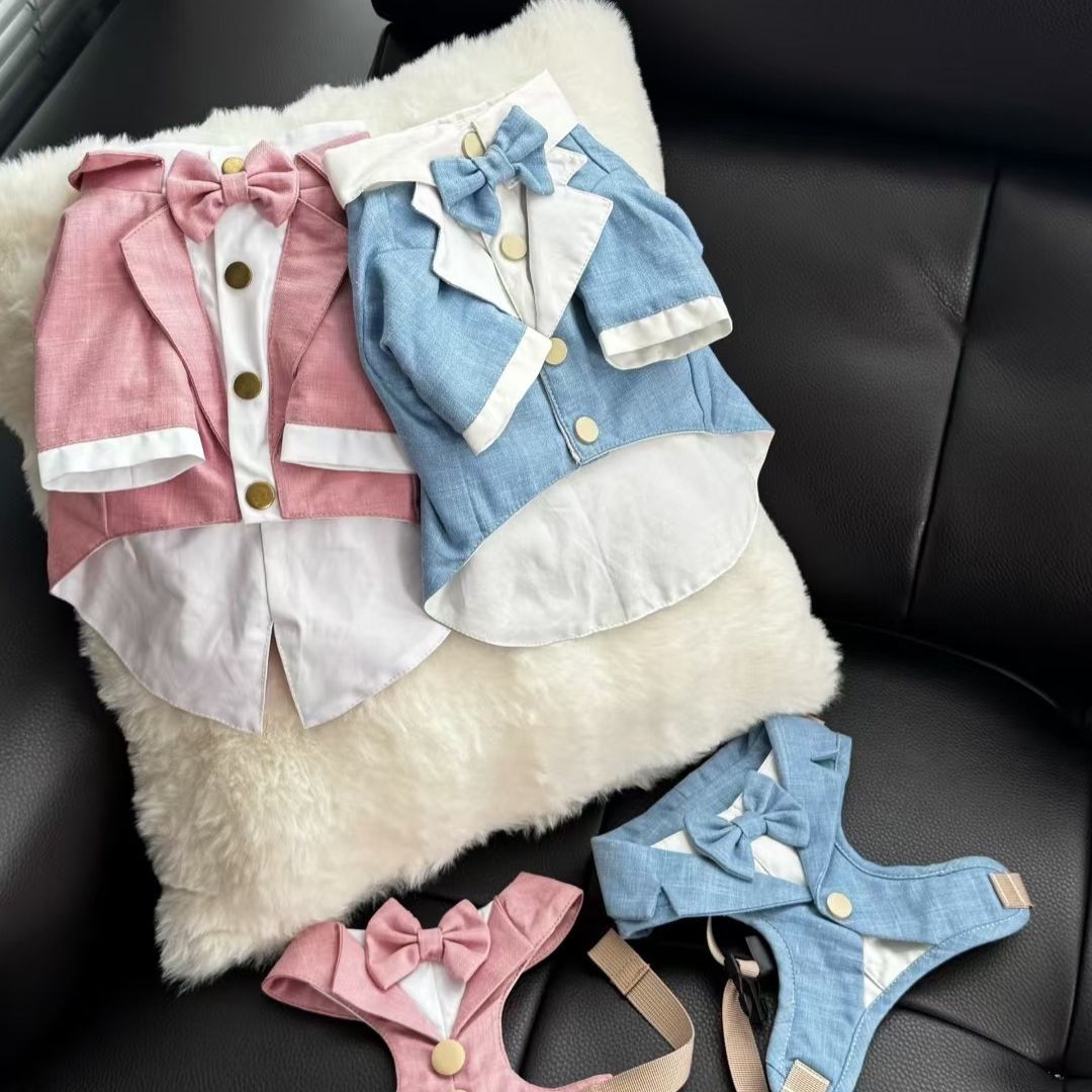 The Chelsea Charm – Baby Blue Harness