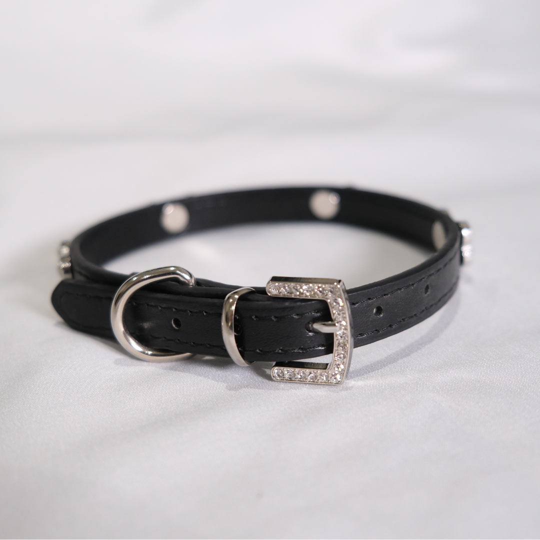 Black Rhinestone Bone Dog Collar