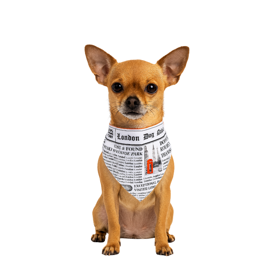 London Dog News Bandana – Vintage Newspaper Style Dog Scarf