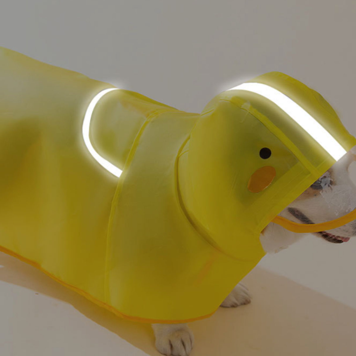 Quacky Duck Hooded Dog Raincoat