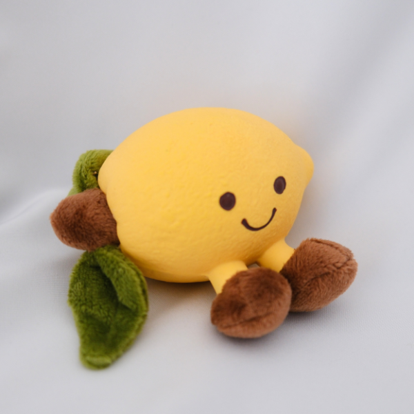 Lemon Squeaky Dog Toy – Gentle Interactive Play