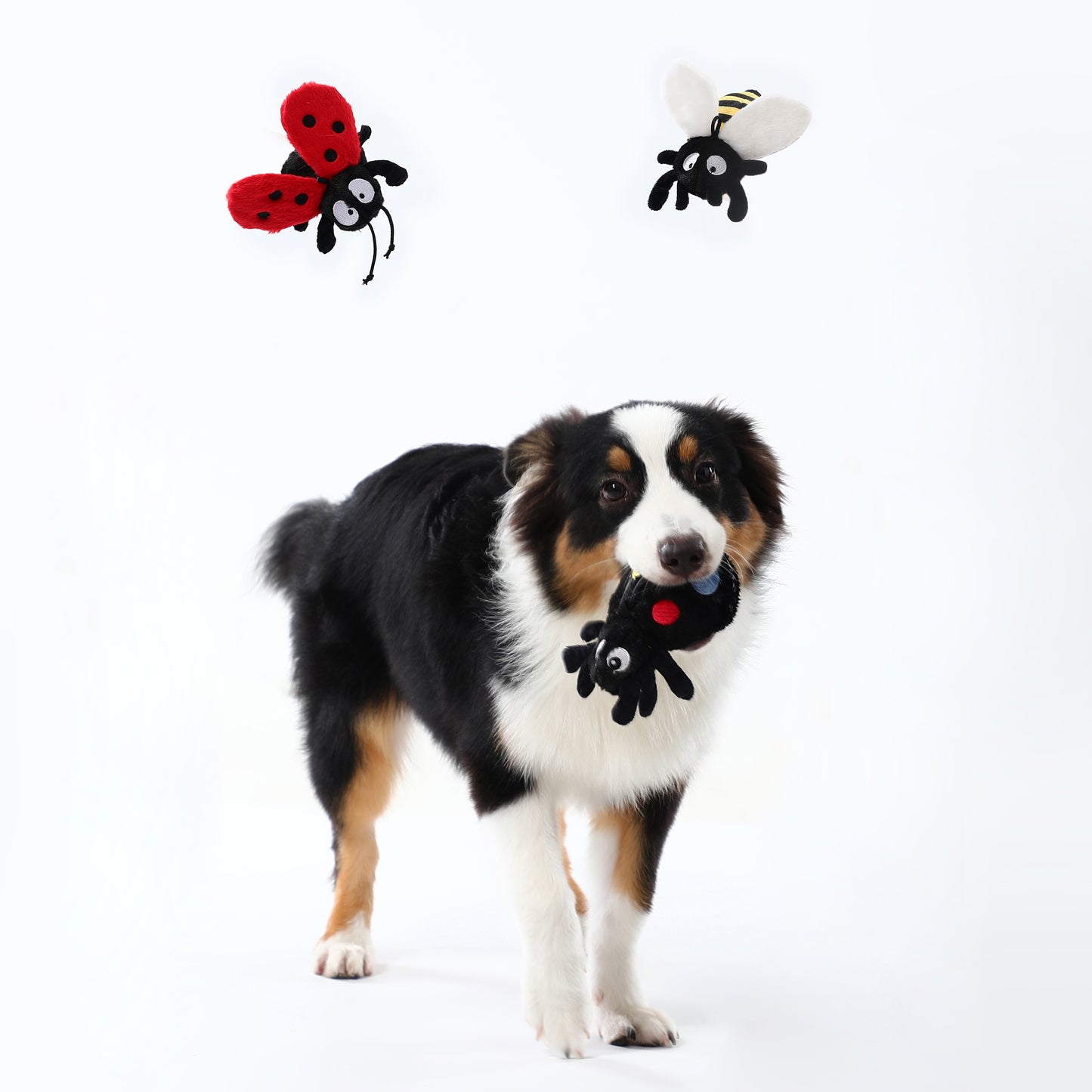 Ladybird Squeaky Dog Toy – Interactive Play
