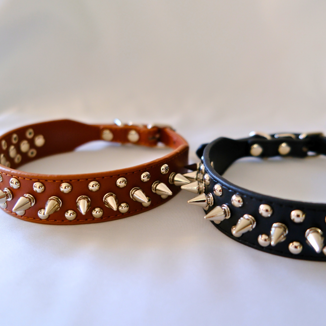 Black Leather Dog Collar with Spikes and Studs – XXS to XXXL Sizes