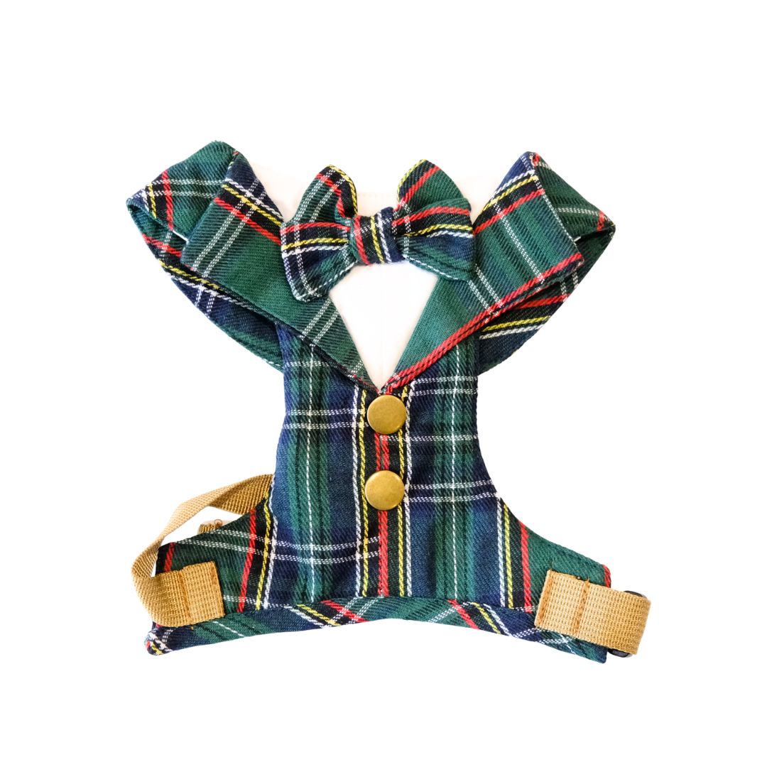 The Cambridge Scholar โ Deep Green Tartan Dog Harness