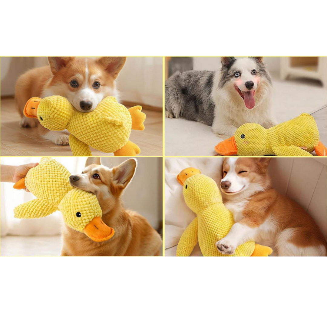 Snuggle Quack Plush Yellow Duck Toy – Soft Chew Toy