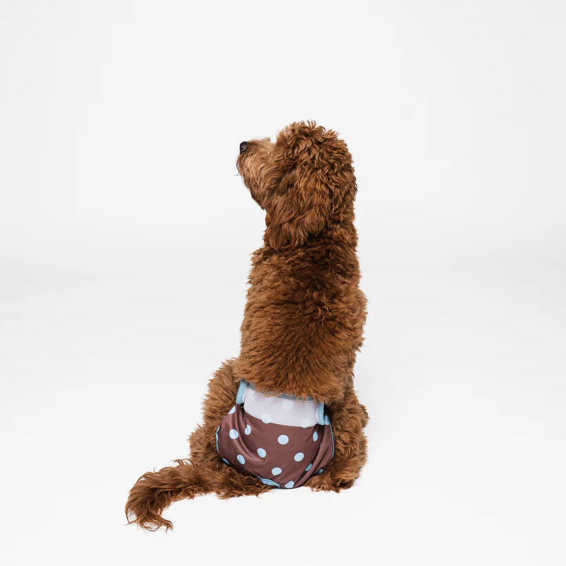 Dog Period Panties Dots