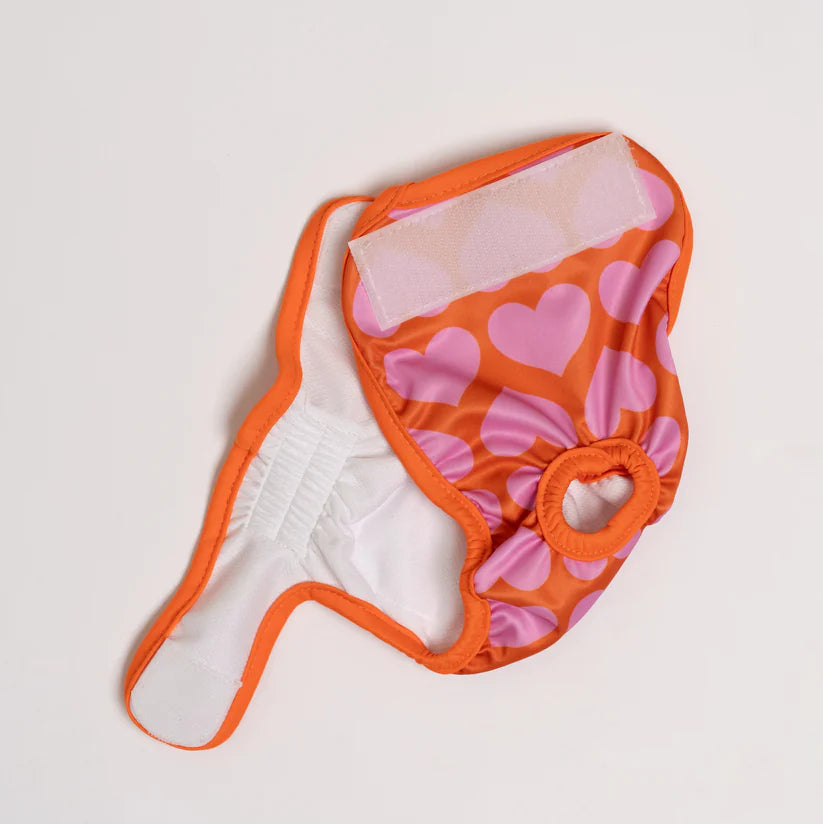Dog Period Panties Hearts