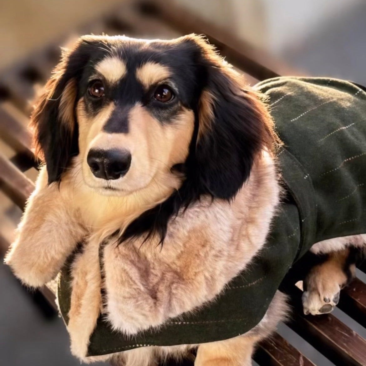 Country House - The Noble Green Fur Coat