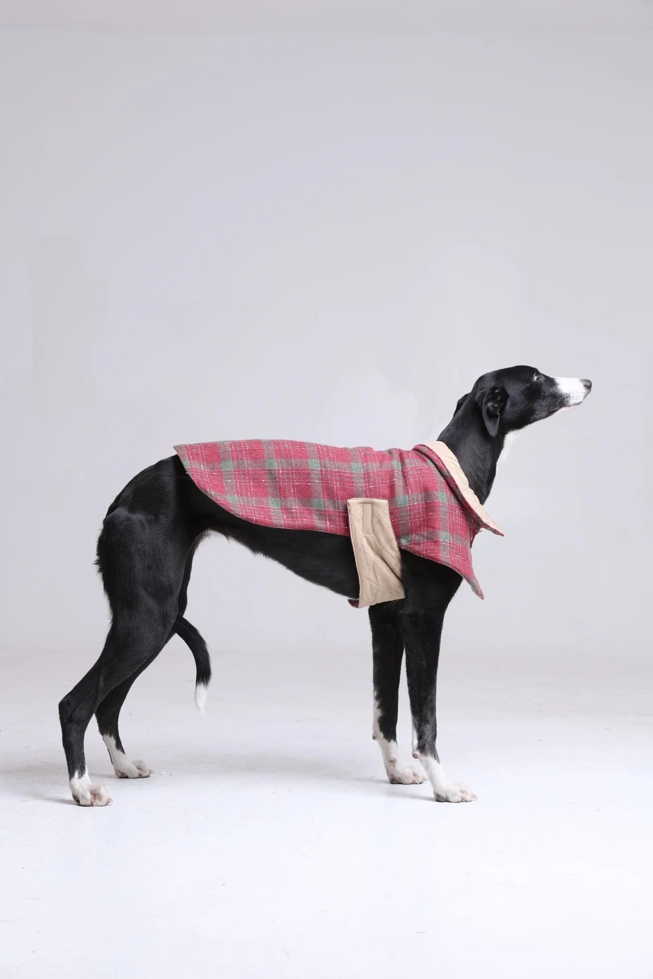 Premium Handcrafted Padded Dog Coat