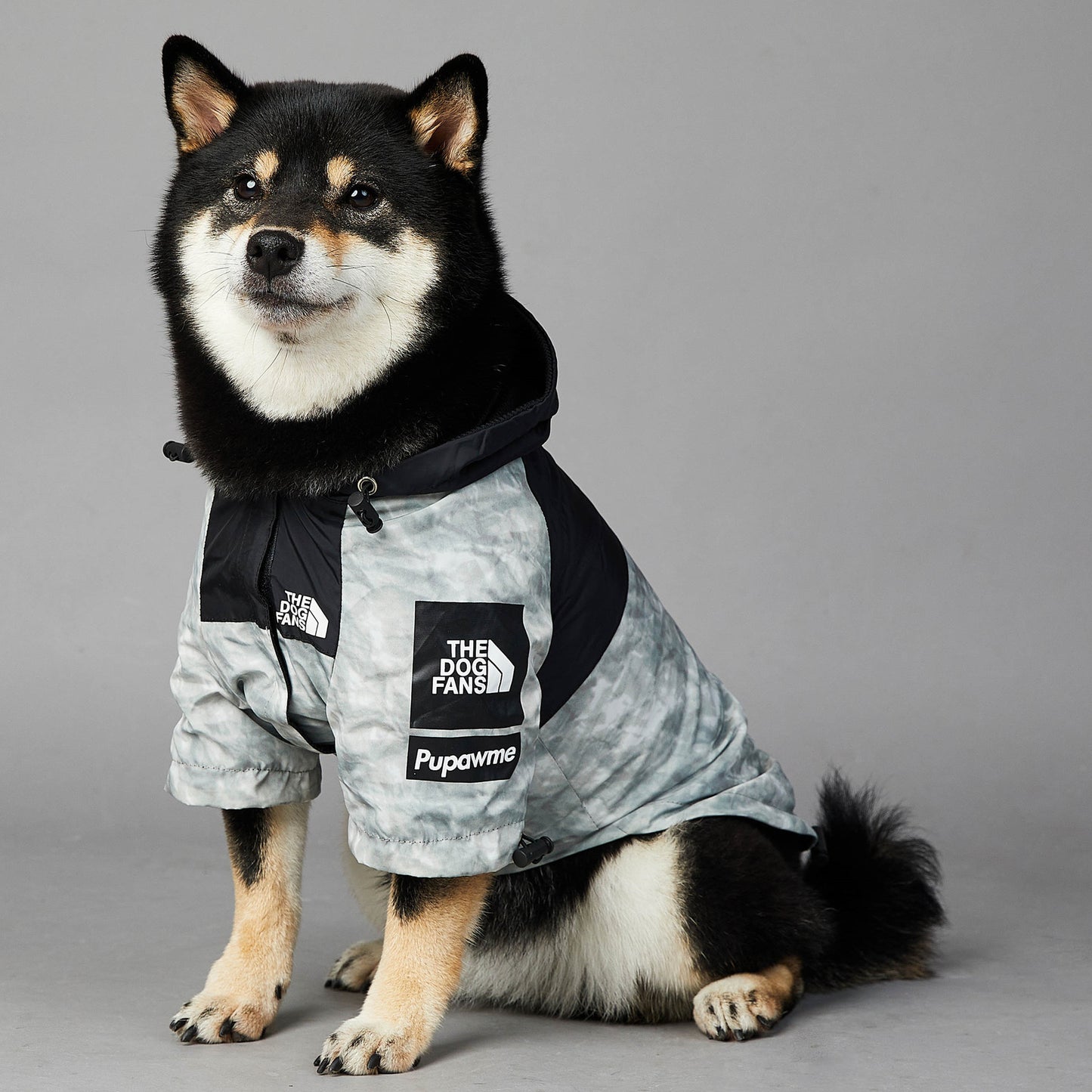 DogFans Waterproof Jacket - Newspaper Print