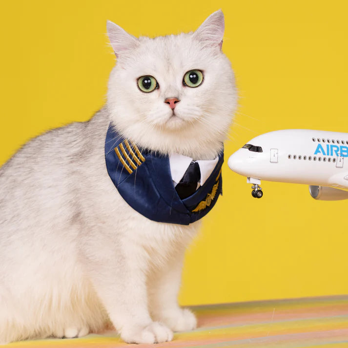 Air Pilot Pet Bib