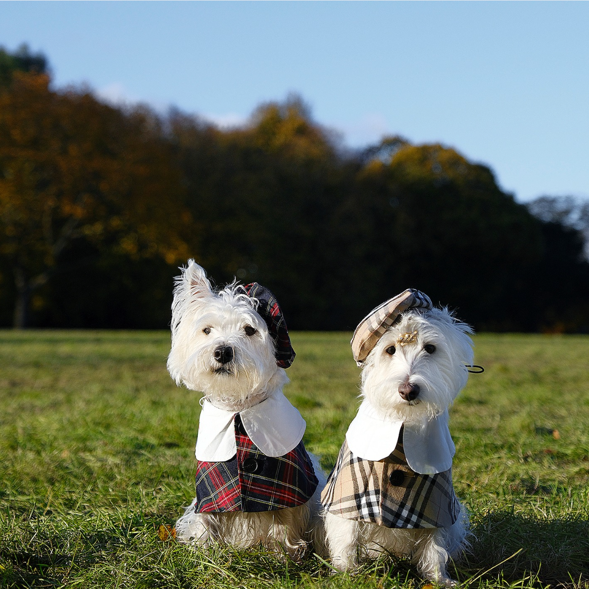 Classic Barkberry Elegance Set with Adjustable Hat