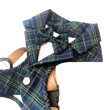 The Eton Gentlepup – Royal Blue & Green Tartan Dog Harness