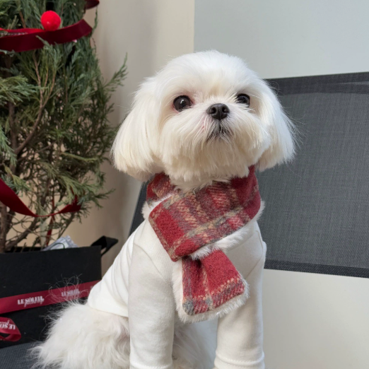 Matching Dog and Owner Winter Scarf Set – Soft Fleece Checkered Neck Warmer for Small Pets and Humans