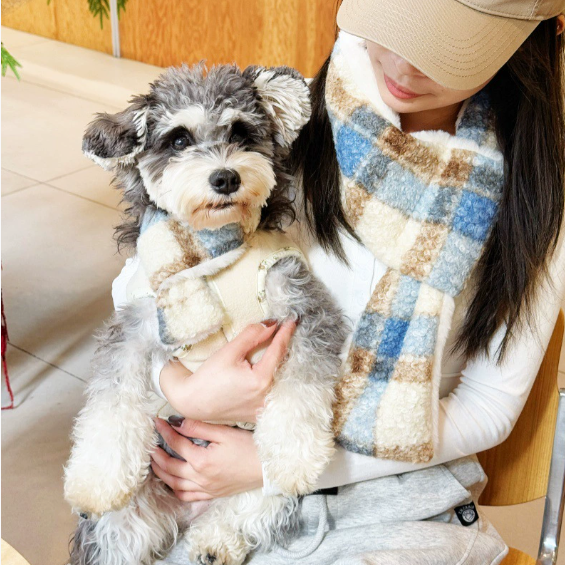 Matching Dog and Owner Winter Scarf Set – Soft Fleece Checkered Neck Warmer for Small Pets and Humans
