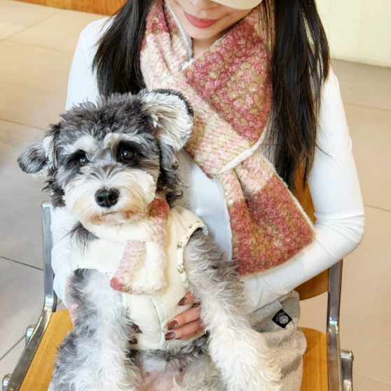 Matching Dog and Owner Winter Scarf Set – Soft Fleece Checkered Neck Warmer for Small Pets and Humans