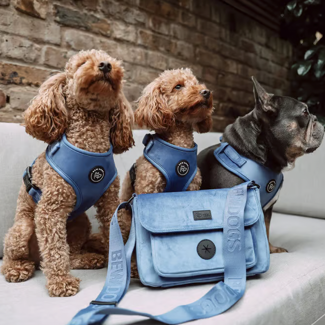 Midnight Velvet Hands-free Dog Walking Bag