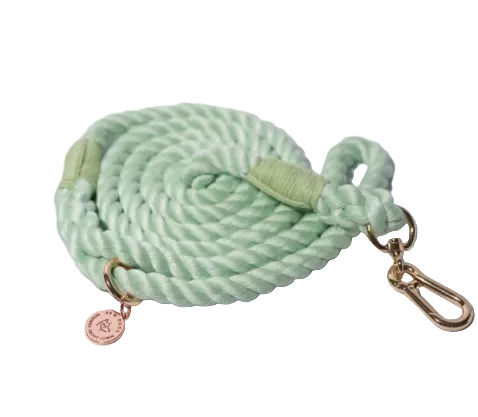 Mint Green Rope Lead