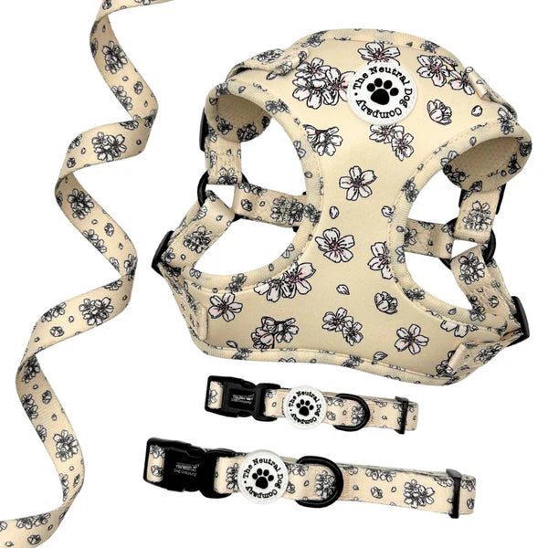 Adjustable Collar - Blooming Blossom