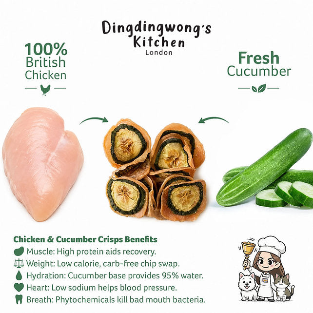 Air-Dried Chicken & Cucumber Crisps/25g