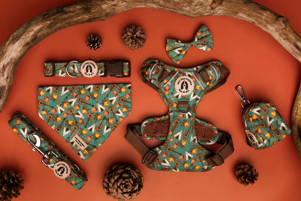 Mountain Camp Out Dog Lead