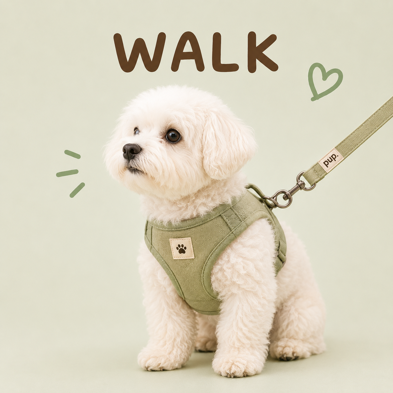 Walk