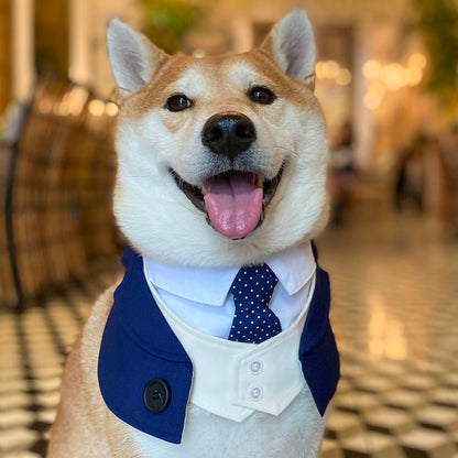 Queensway Pet Bib