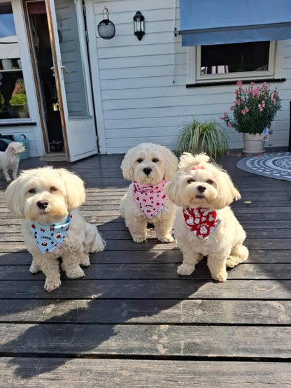 Royal Pups Bandana – Baby Pink Edition