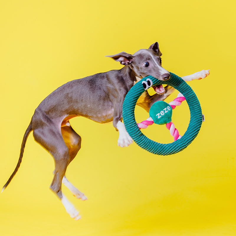 Didi Steering Wheel Rope Dog Toy (Dark Green)