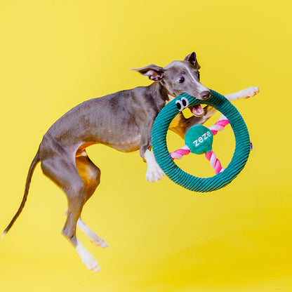 Didi Steering Wheel Rope Dog Toy (Dark Green)