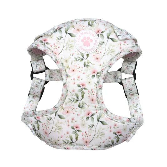 Adjustable Step-In Harness - Wild Rose