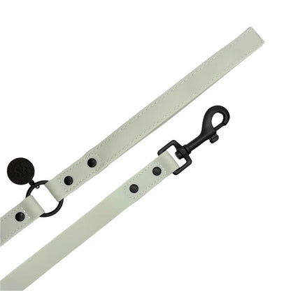 Waterproof Padded Handle Dog Lead - Sage