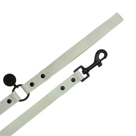 Waterproof Padded Handle Dog Lead - Sage