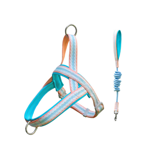 Harness with Matching Leash - Soft Blue and Aqua