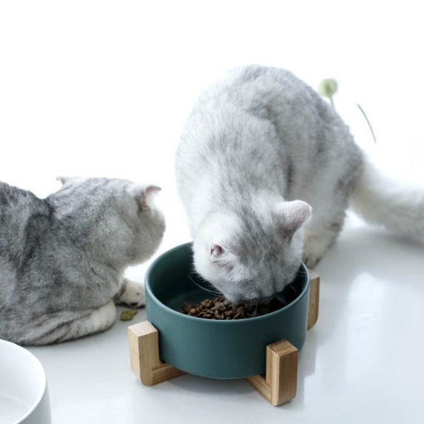 Two cats eating from a green pet bowl with wooden base on a white surface.