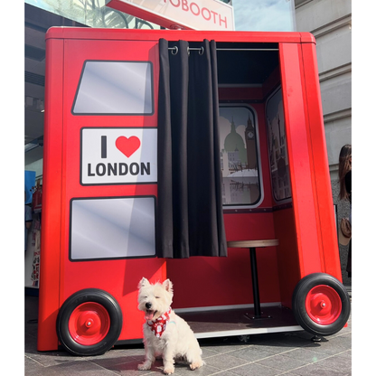 London Attitude Bandana - Unique Dog Signature Bandana