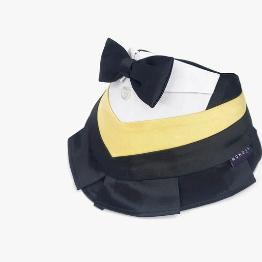 Baccalaureate Regalia Graduation Pet Bandana