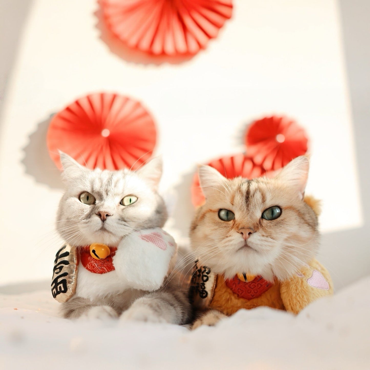 Fortune Cat Pet Bib Collar - Lunar New Year Lucky Accessory (Dogs & Cats)