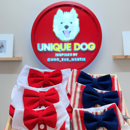 England Flag Bandana