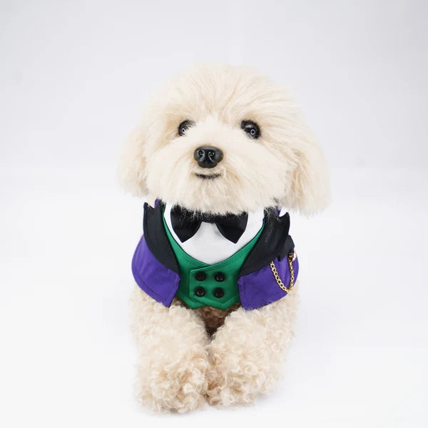 Jack Decorative Pet Bib Collar – Bold Character Outfit for Cats & Small Dogs