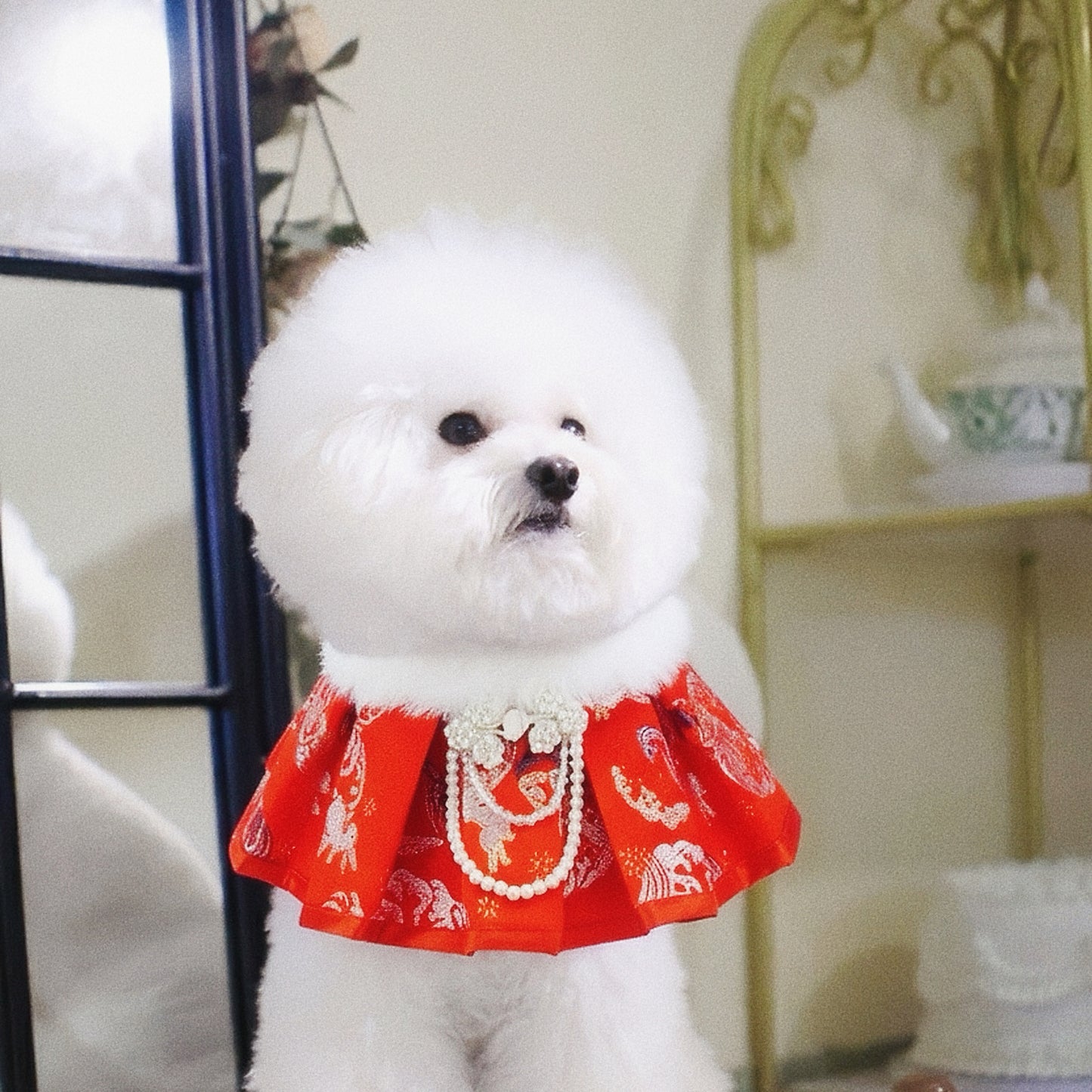 Blush Radiance Red Pet Bib Collar – Chinese New Year Lucky Pet Accessory