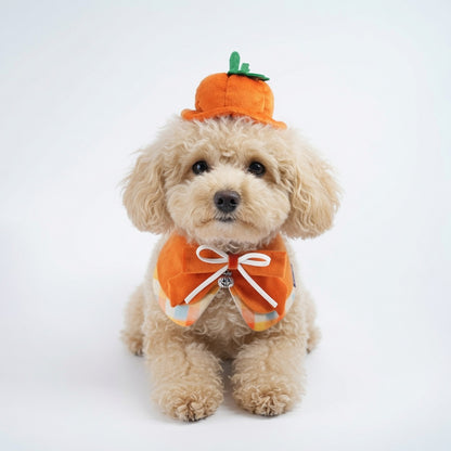 Pumpkin Scholar Pet Bib Collar – Outfit for Cats & Dogs